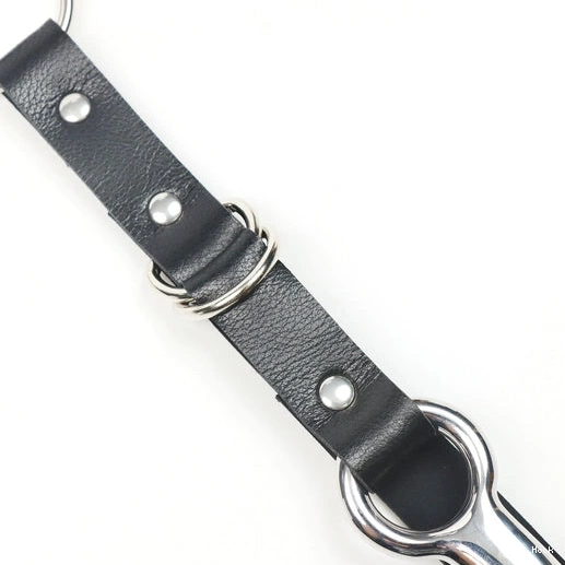 Leash 5853 Anal EverydayUse and with Collar Kinky Hook 1102